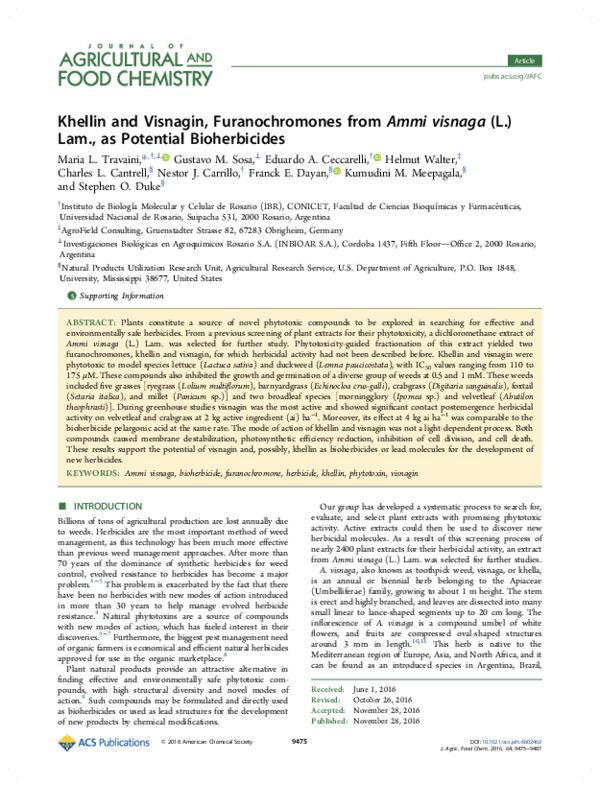 (PDF) Khellin and Visnagin, Furanochromones from Ammi visnaga (L.) Lam ...