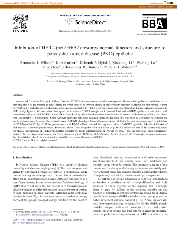 (PDF) Inhibition of HER-2(neu/ErbB2) restores normal function and ...