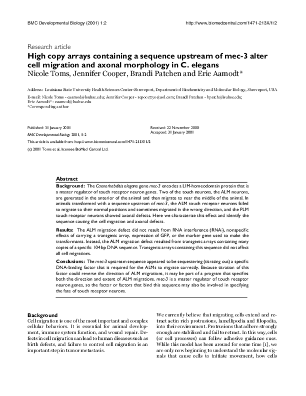 (PDF) High copy arrays containing a sequence upstream of mec-3 alter ...