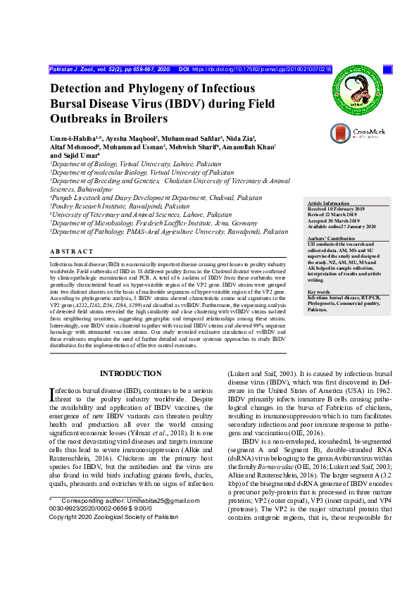 (PDF) Detection and Phylogeny of Infectious Bursal Disease Virus (IBDV ...