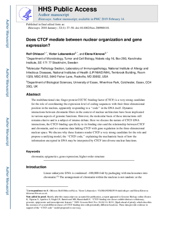 (PDF) Does CTCF mediate between nuclear organization and gene expression?