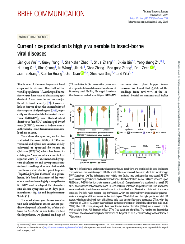 (PDF) Current rice production is highly vulnerable to insect-borne ...