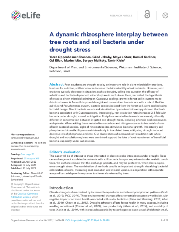 (PDF) A dynamic rhizosphere interplay between tree roots and soil ...