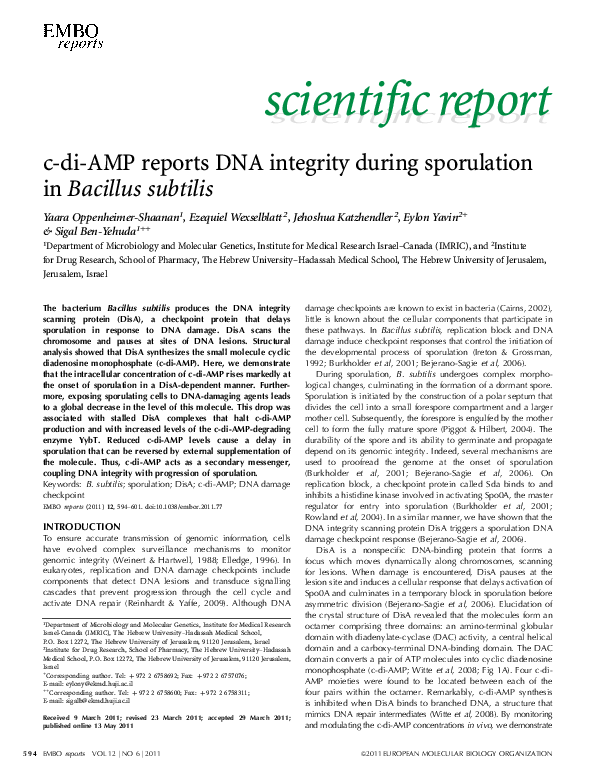 (PDF) c‐di‐AMP reports DNA integrity during sporulation in Bacillus ...