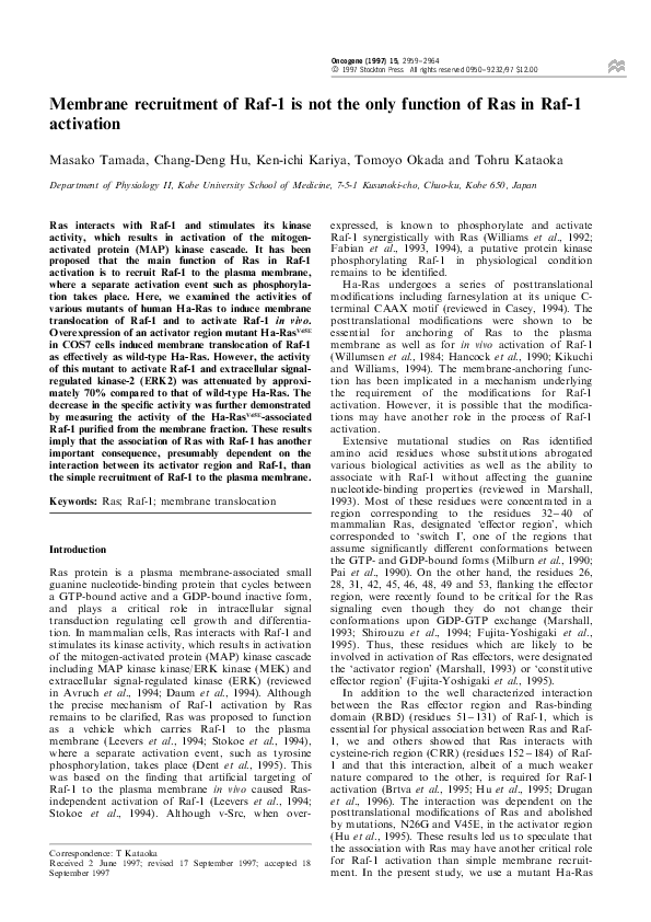 (PDF) Membrane recruitment of Raf-1 is not the only function of Ras in ...