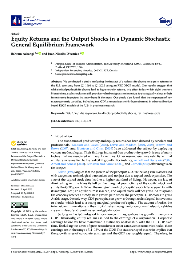 First page of “Equity Returns and the Output Shocks in a Dynamic Stochastic General Equilibrium Framework”