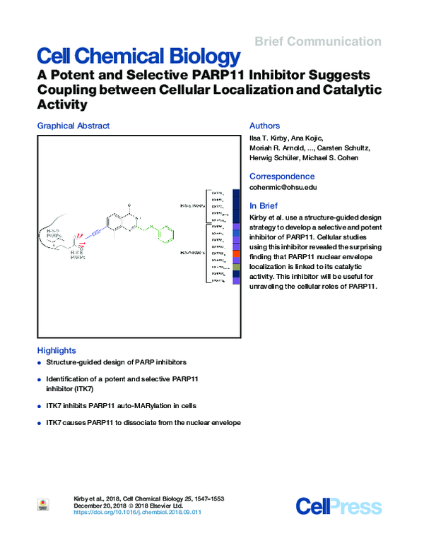 (PDF) A Potent and Selective PARP11 Inhibitor Suggests Coupling between ...