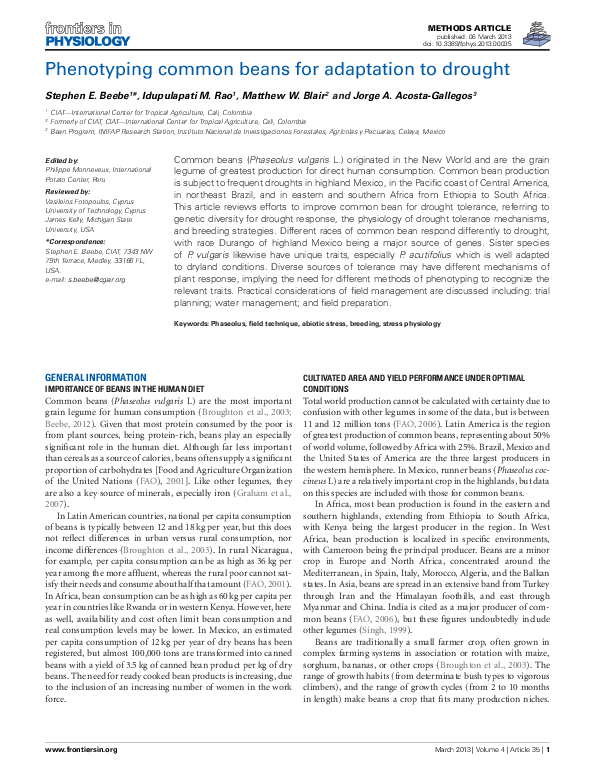(PDF) Phenotyping common beans for adaptation to drought