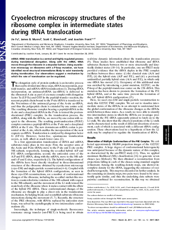 (PDF) Cryoelectron microscopy structures of the ribosome complex in ...