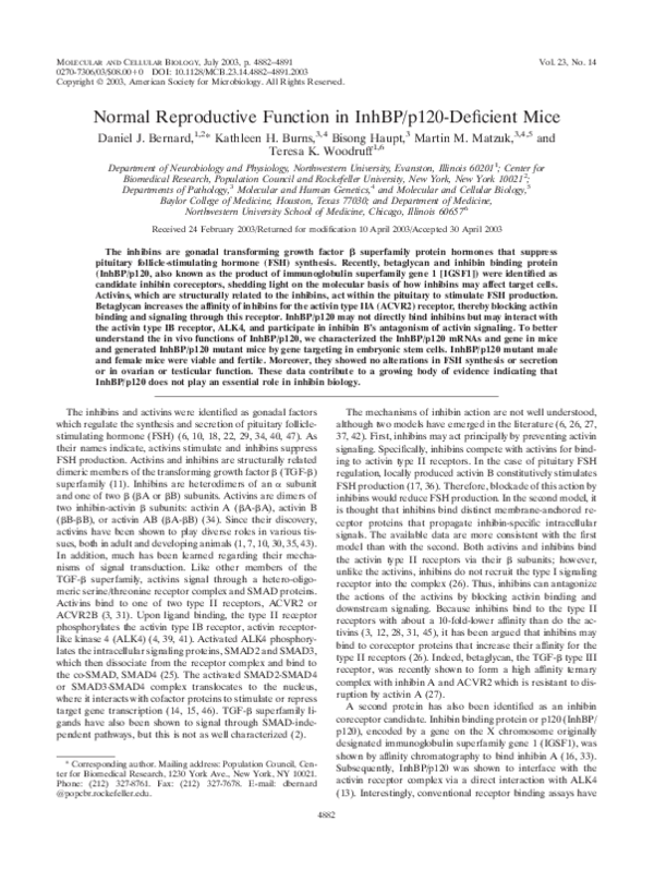 (PDF) Normal Reproductive Function in InhBP/p120-Deficient Mice