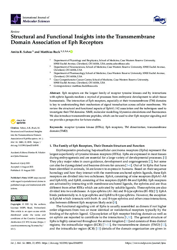 (PDF) Structural and Functional Insights into the Transmembrane Domain ...