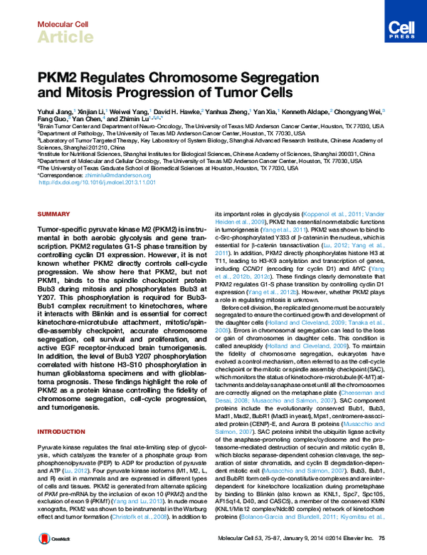 (PDF) PKM2 Regulates Chromosome Segregation and Mitosis Progression of ...