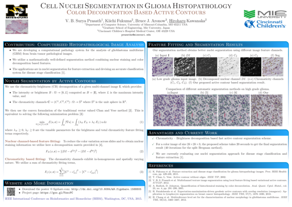 (PDF) Cell nuclei segmentation in glioma histopathology images with ...