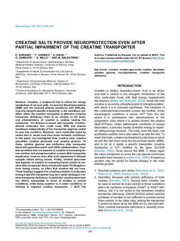 (PDF) Creatine salts provide neuroprotection even after partial ...