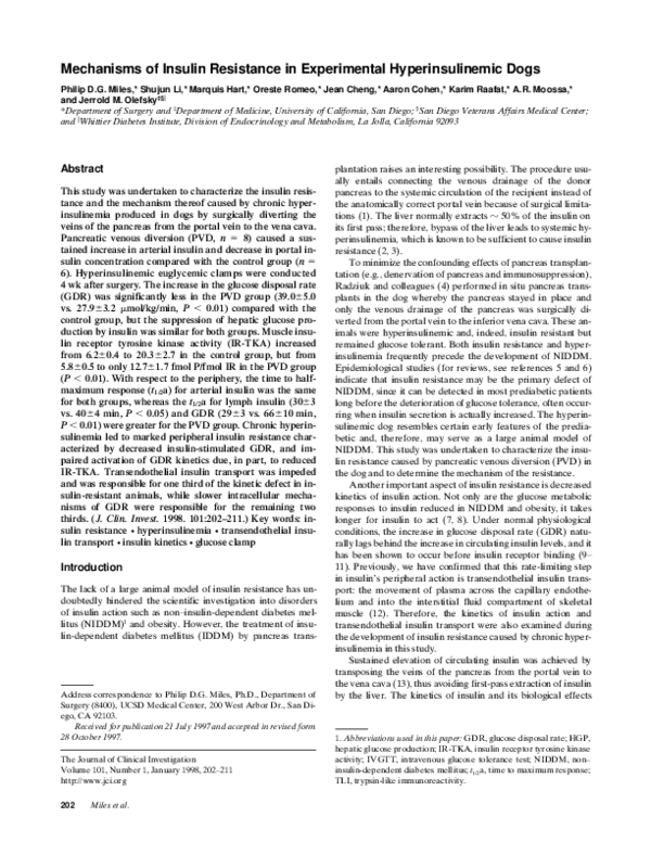 Image showcasing (PDF) Mechanisms of insulin resistance in experimental hyperinsulinemic ...