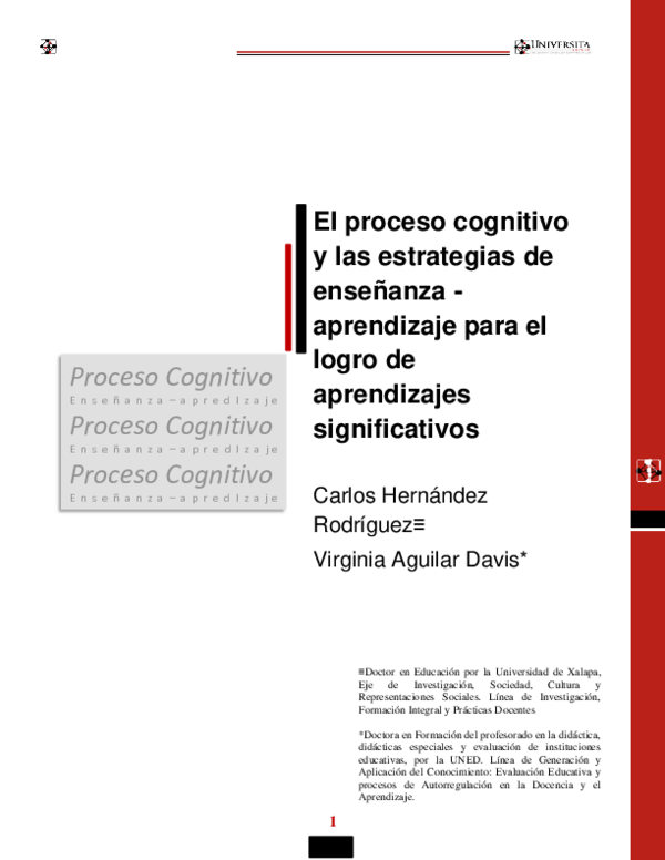 (PDF) El proceso cognitivo y las estrategias de enseñanza - aprendizaje ...