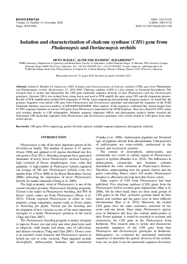 (PDF) Isolation and characterization of chalcone synthase (CHS) gene ...
