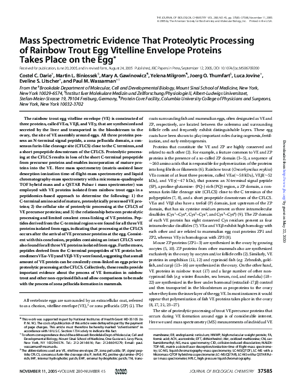 (PDF) Mass Spectrometric Evidence That Proteolytic Processing of ...