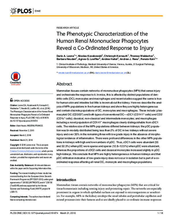 (PDF) The Phenotypic Characterization of the Human Renal Mononuclear ...
