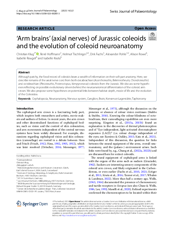 (PDF) ‘Arm brains’ (axial nerves) of Jurassic coleoids and the ...