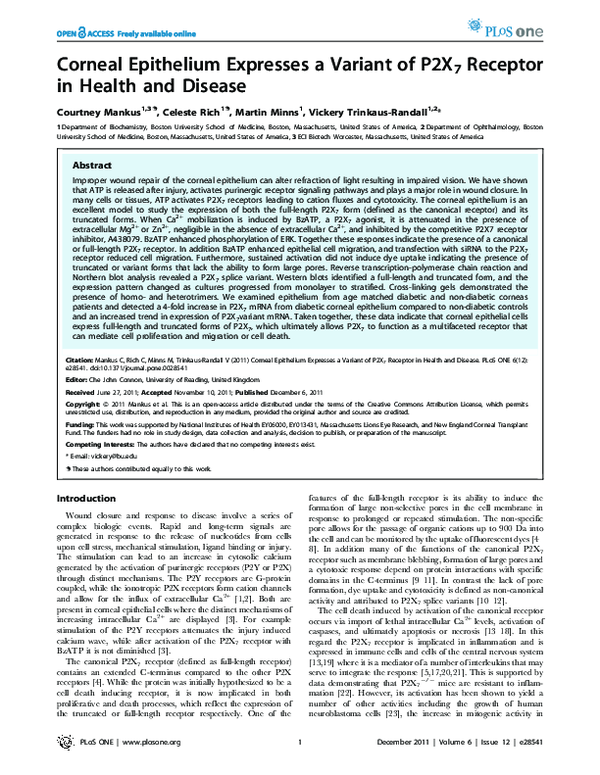 (PDF) Corneal Epithelium Expresses a Variant of P2X7 Receptor in Health ...