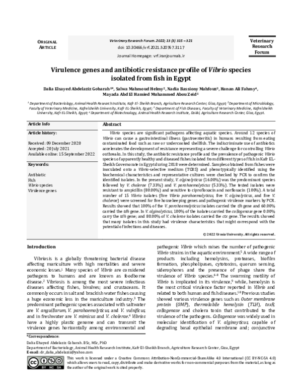 (PDF) Virulence genes and antibiotic resistance profile of Vibrio ...