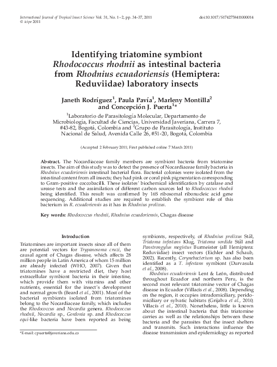 (PDF) Identifying triatomine symbiont Rhodococcus rhodnii as intestinal ...