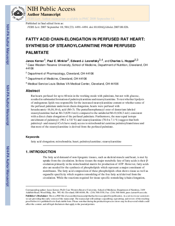 (PDF) Fatty acid chain‐elongation in perfused rat heart: Synthesis of ...
