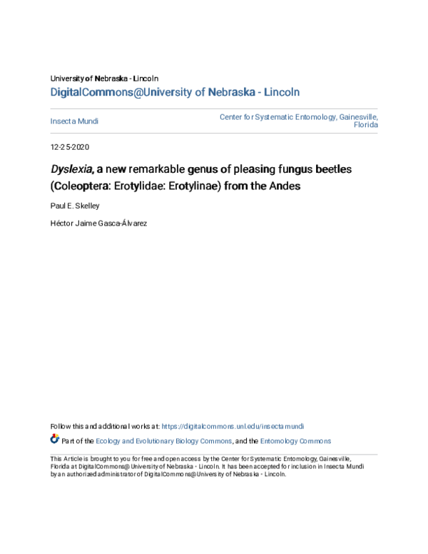 (PDF) \u3ci\u3eDyslexia\u3c/i\u3e, a new remarkable genus of pleasing ...