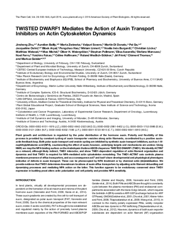 (PDF) TWISTED DWARF1 mediates the action of auxin transport inhibitors ...