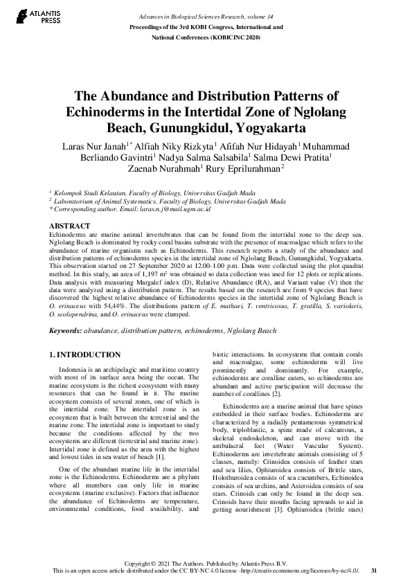 (PDF) The Abundance and Distribution Patterns of Echinoderms in the ...