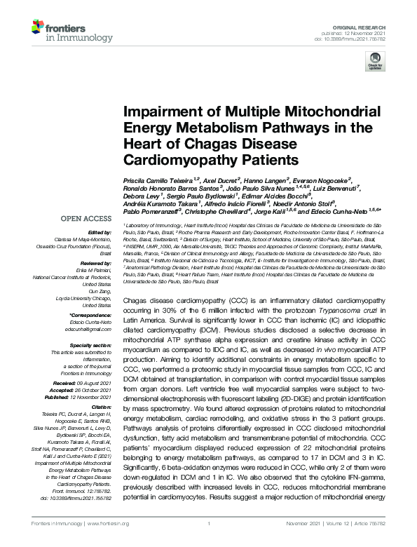 (PDF) Impairment of Multiple Mitochondrial Energy Metabolism Pathways ...