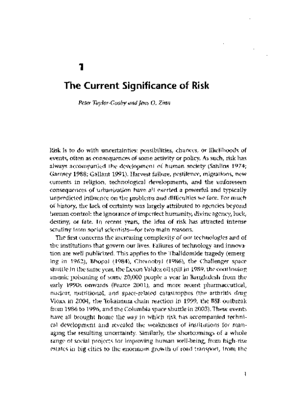 (PDF) The Current Significance of Risk