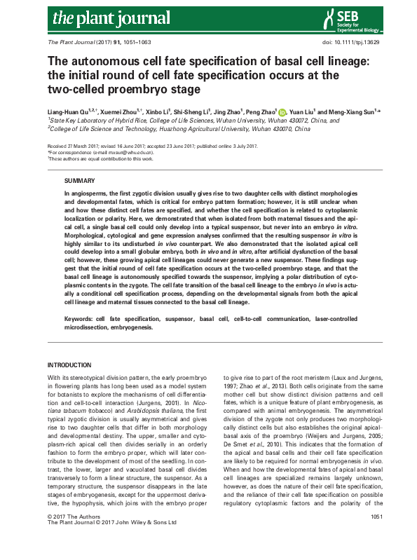 (PDF) The autonomous cell fate specification of basal cell lineage: the ...