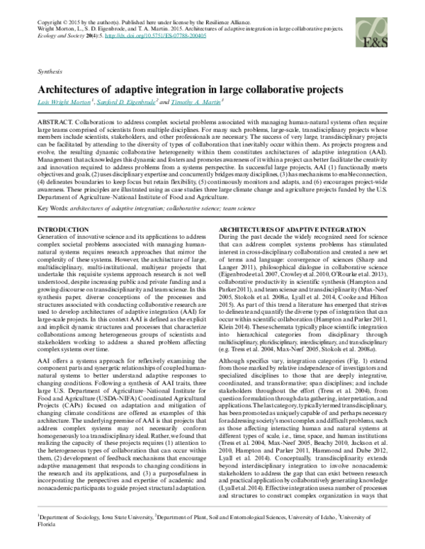 (PDF) Architectures of adaptive integration in large collaborative projects