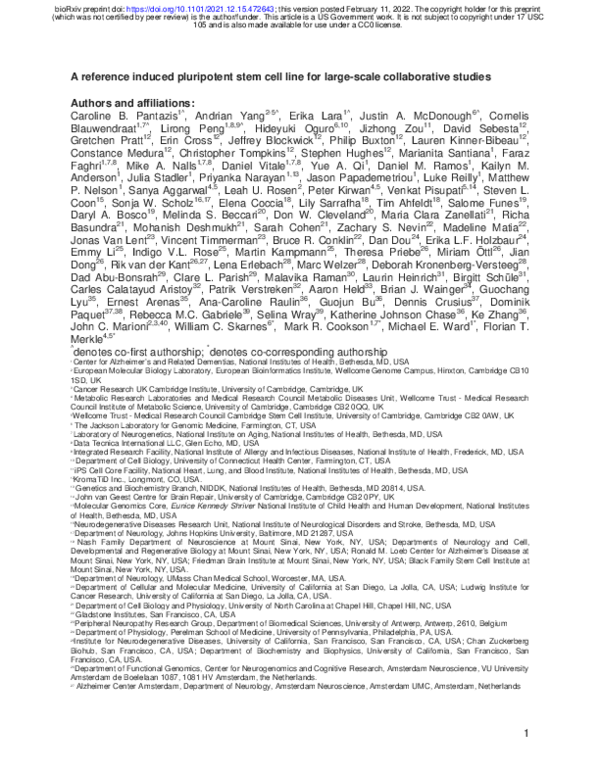 (PDF) A reference induced pluripotent stem cell line for large-scale ...