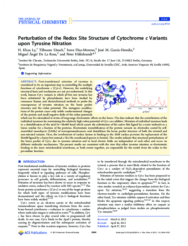 (PDF) Perturbation of the Redox Site Structure of Cytochrome c Variants ...