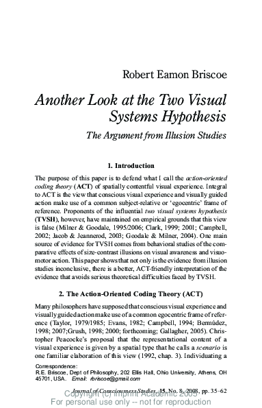 (PDF) Another look at the two visual systems hypothesis: The argument ...