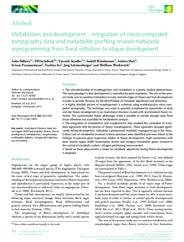 (PDF) Metabolism and development – integration of micro computed ...