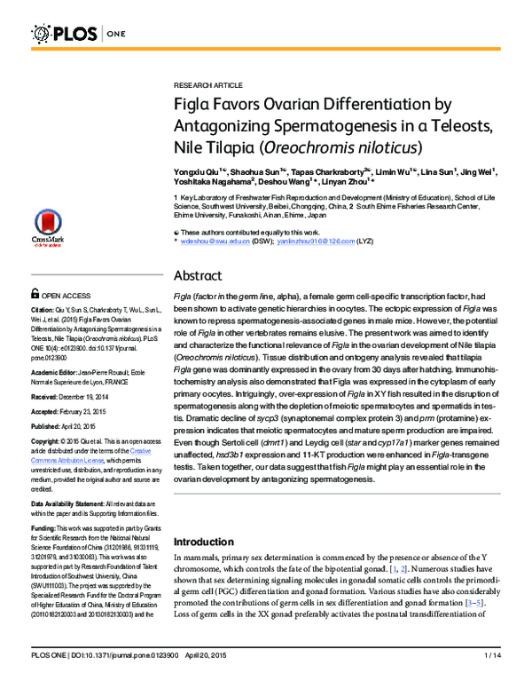 (PDF) Figla Favors Ovarian Differentiation by Antagonizing ...