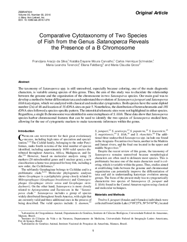 (PDF) Comparative Cytotaxonomy of Two Species of Fish from the Genus ...