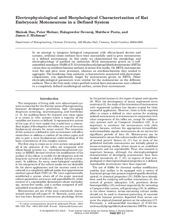 (PDF) Electrophysiological and Morphological Characterization of Rat ...