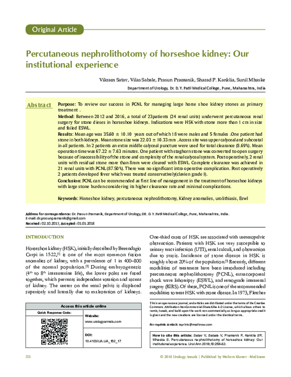 (PDF) Percutaneous nephrolithotomy of horseshoe kidney: Our ...
