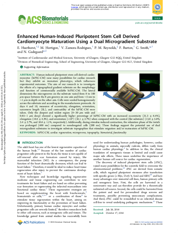 (PDF) Enhanced Human-Induced Pluripotent Stem Cell Derived ...