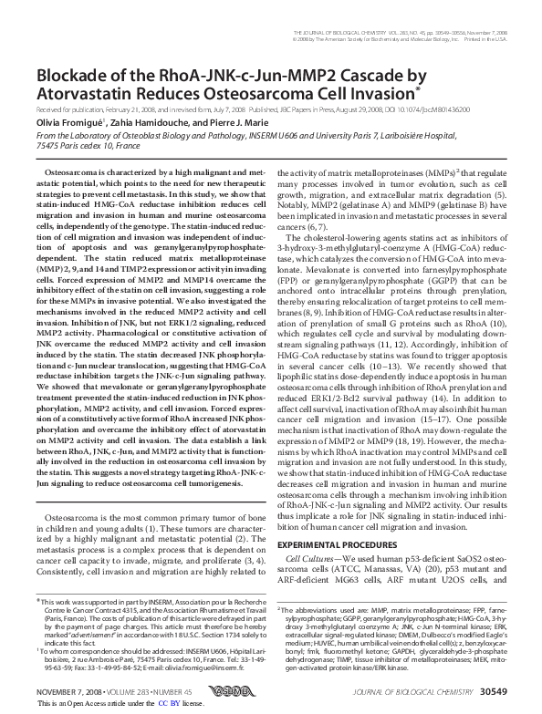 (PDF) Blockade of the RhoA-JNK-c-Jun-MMP2 Cascade by Atorvastatin ...