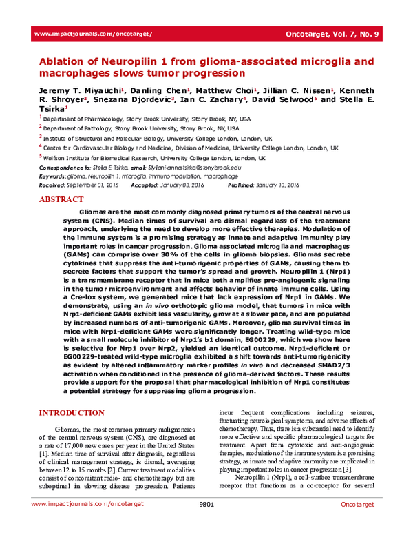 (PDF) Ablation of Neuropilin 1 from glioma-associated microglia and ...