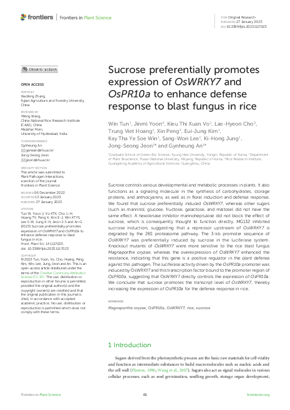 (PDF) Sucrose preferentially promotes expression of OsWRKY7 and OsPR10a ...