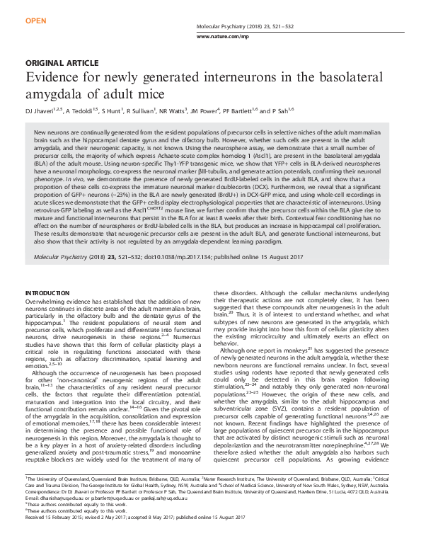 (PDF) Evidence for newly generated interneurons in the basolateral ...