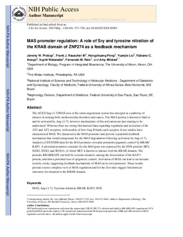 (PDF) MAS promoter regulation: a role for Sry and tyrosine nitration of ...