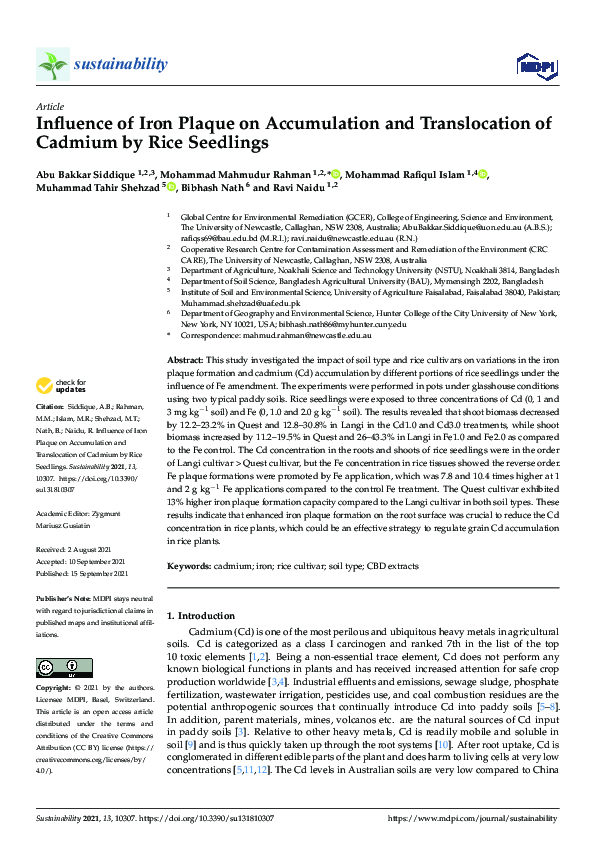 (PDF) Influence of Iron Plaque on Accumulation and Translocation of ...